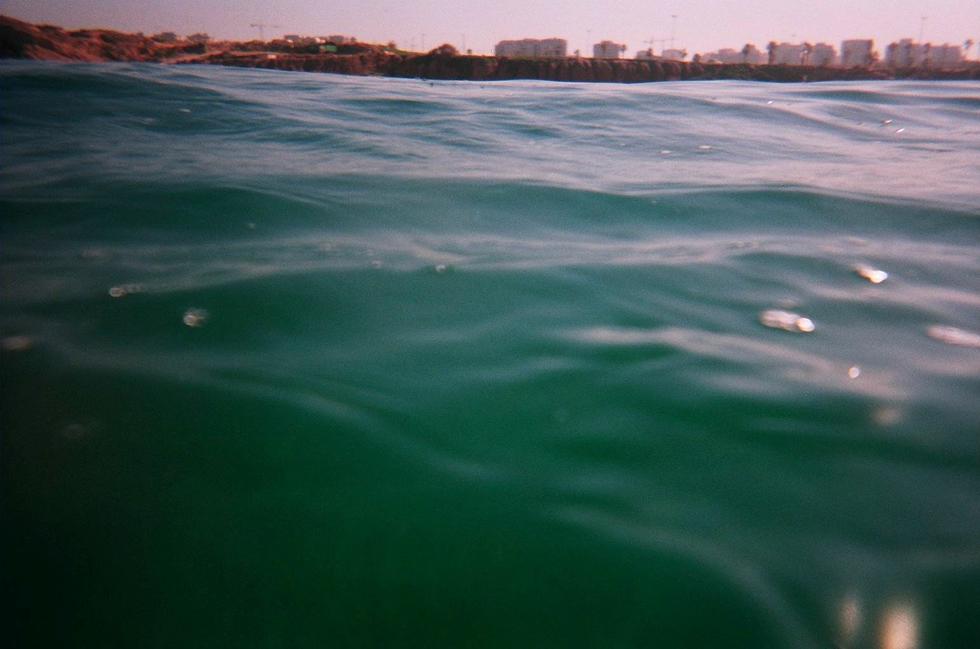 The Tiger The Object and The Ball 