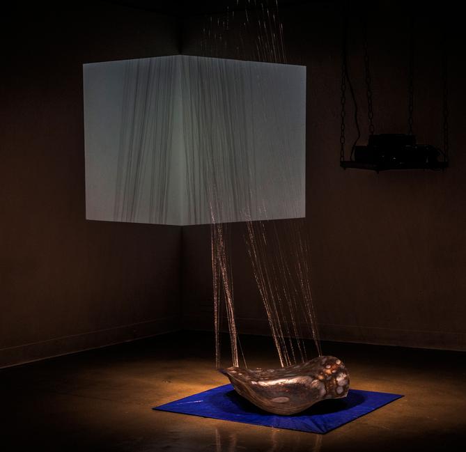 You came for us, We are going for us