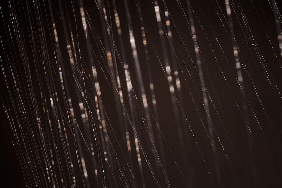 You came for us, We are going for us